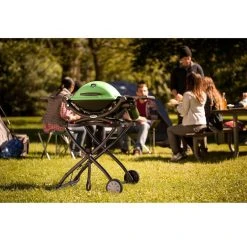 Cheapest 🔥 Weber Q1200 1 Burner Liquid Propane Grill Green 😉 -Outlet Weber Store 3d5b9328 1b03 4b85 aa42 de40625f374f