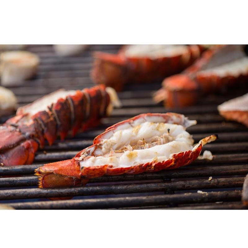 Wholesale ⭐ Weber Summit S-670 6 Burner Natural Gas Grill Stainless Steel ❤️ 2 Wholesale ⭐ Weber Summit S-670 6 Burner Natural Gas Grill Stainless Steel ❤️ - Image 2