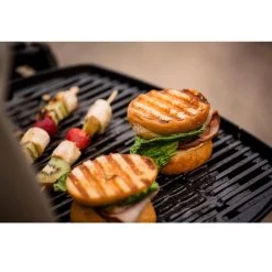 Cheapest 🔥 Weber Q1200 1 Burner Liquid Propane Grill Green 😉 -Outlet Weber Store 6e44b135 2326 426e 9e4f 3e4239b2f303