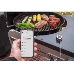 Best deal 🔔 Weber iGrill Mini Digital Bluetooth Enabled Grill/Meat Thermometer ✨ -Outlet Weber Store 7bc1ebce 1a2b 40f2 985a e5c5bf980b2d