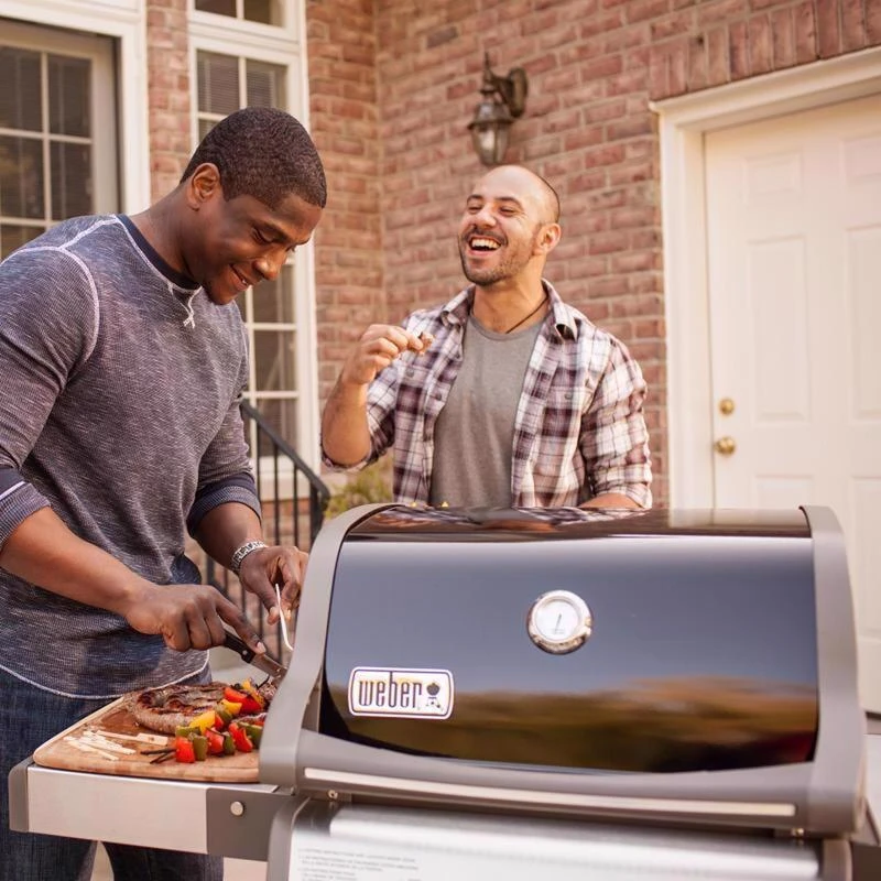 Discount โค๏ธ Weber Spirit E-210 2 Burner Liquid Propane Grill Black ๐ 8 Discount โค๏ธ Weber Spirit E-210 2 Burner Liquid Propane Grill Black ๐ - Image 8